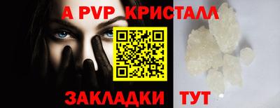 дурь Кингисепп
