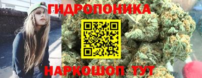 дурь Кингисепп