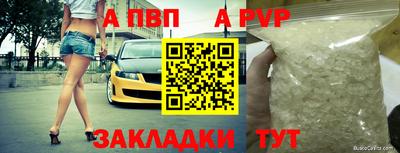 дурь Кингисепп