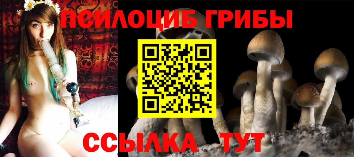Псилоцибиновые грибы Magic Shrooms  цена наркотик  Кимры  Вход с VPN 