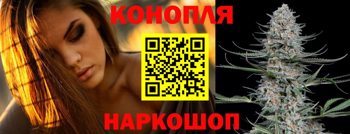 Канабис сатива  Каннабис OG Kush  Кимры  Вход с VPN  Конопля семена 